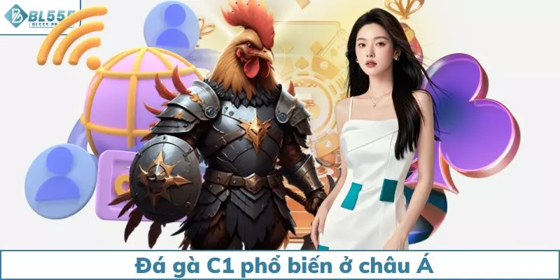 Đá gà C1 khá phổ biến tại khu vực châu Á