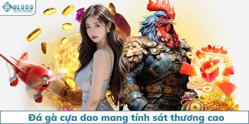 Đá gà cựa dao mang tính sát thương cao